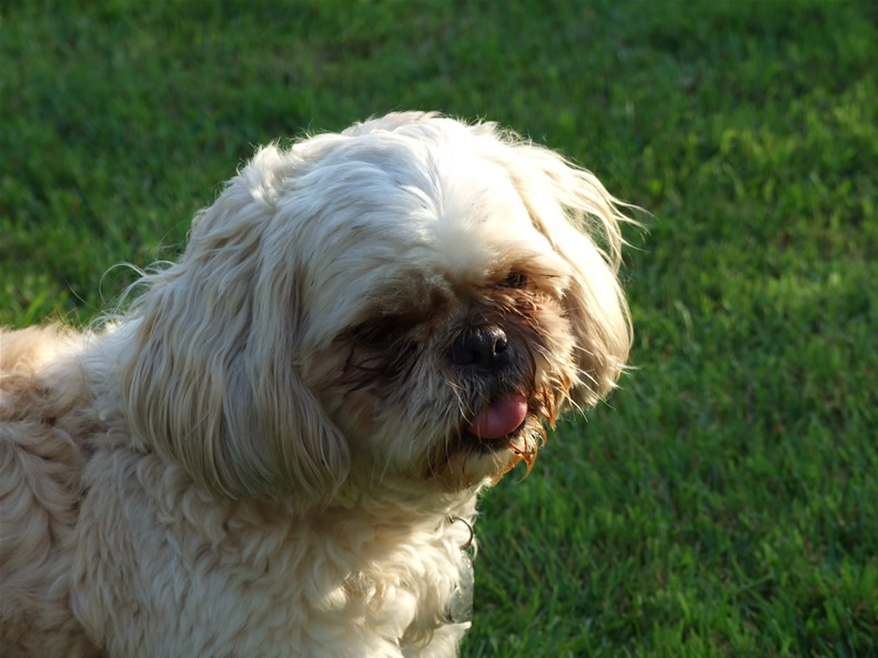 DSCF6248.jpg